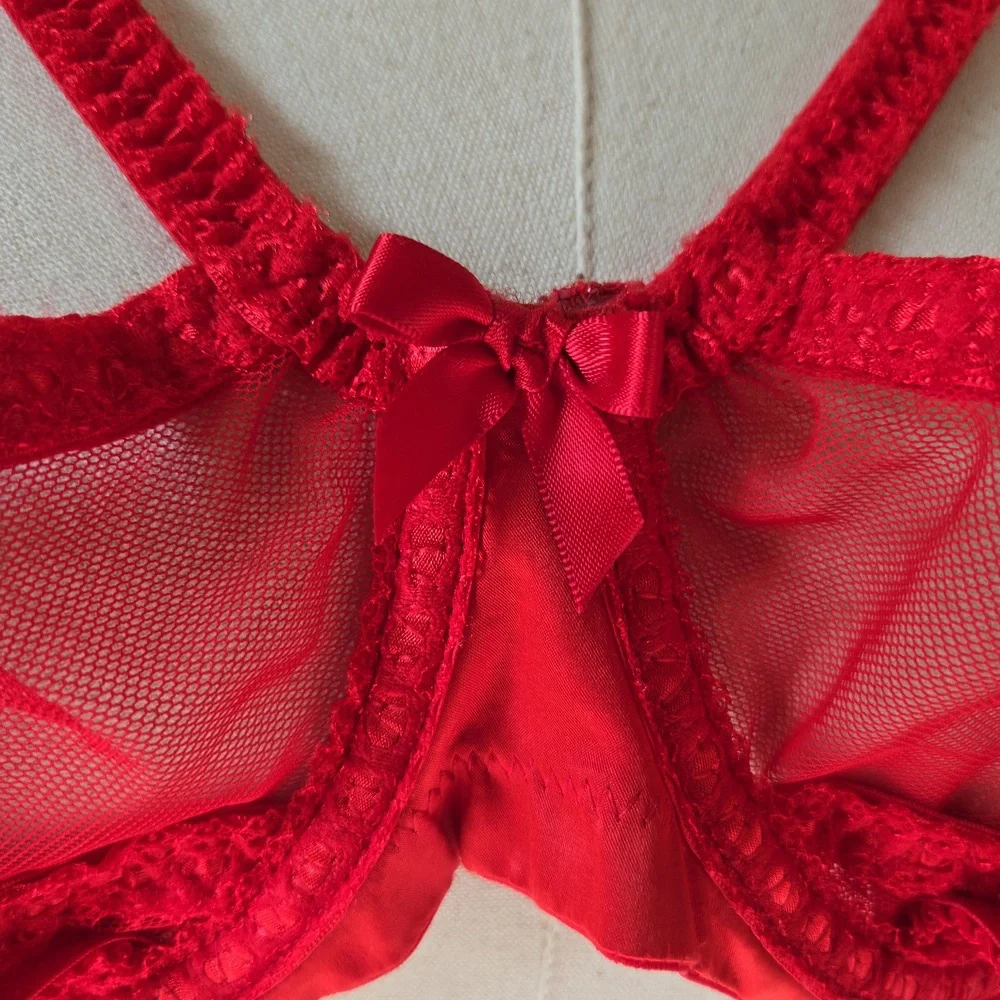 Savage x Fenty Red Lace Cage Demi Cup Bra Size 42DD - Picture 3 of 13